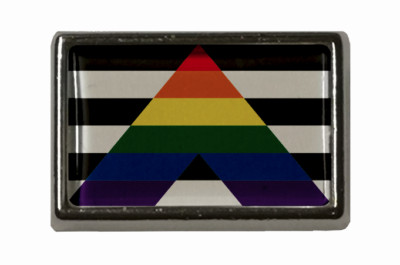 Pin Straight Ally Flaggenpin Anstecknadel Fahne Flagge