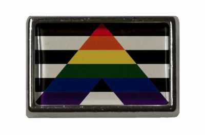 U24 Pin Straight Ally Flaggenpin Anstecknadel Fahne Flagge