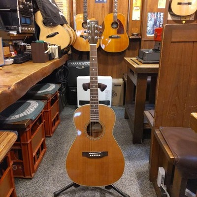 Acoustic Guitar Aria ADL-01 Natural New Yorker Type Top Veneer with Soft Case