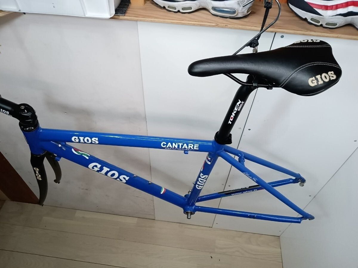 Gios Carbon Fork Frame Set 700c Road Bike ST 460mm TT 500mm | eBay