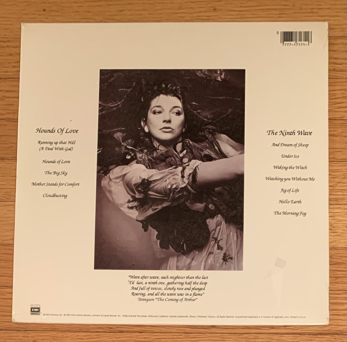 洋楽 Kate Bush/Hounds Of Love/marbleized/LP KATE BUSH HOUNDS OF LOVE 1985 LP Rare MARBLEIZED Vinyl