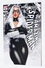 AMAZING SPIDER-MAN #5 Mike Mayhew Black Cat Variant NM Marvel 2025 #969 LGY