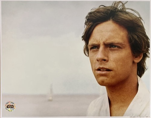 Mark Hamill Luke Skywalker Unsigned Star Wars 11x14 Official Pix Photo - Looking - Picture 1 of 1