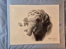 1972 Vintage TIKA the ELEPHANT Circus Performer Press Photo B&W