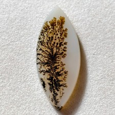 3 Cts Natural Shazar Dendritic Agate Cabochon Gemstone 18.7x7.9x2.2 MM