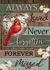 Cardinal Diamond Painting Kits for Kids Diamond Art Kits for Adults 5D DIY Full