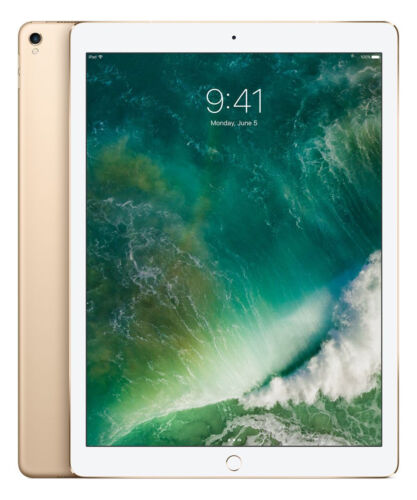 Apple iPad Pro 2nd Gen. 256GB, Wi-Fi, 12.9 in - Gold - Afbeelding 1 van 1