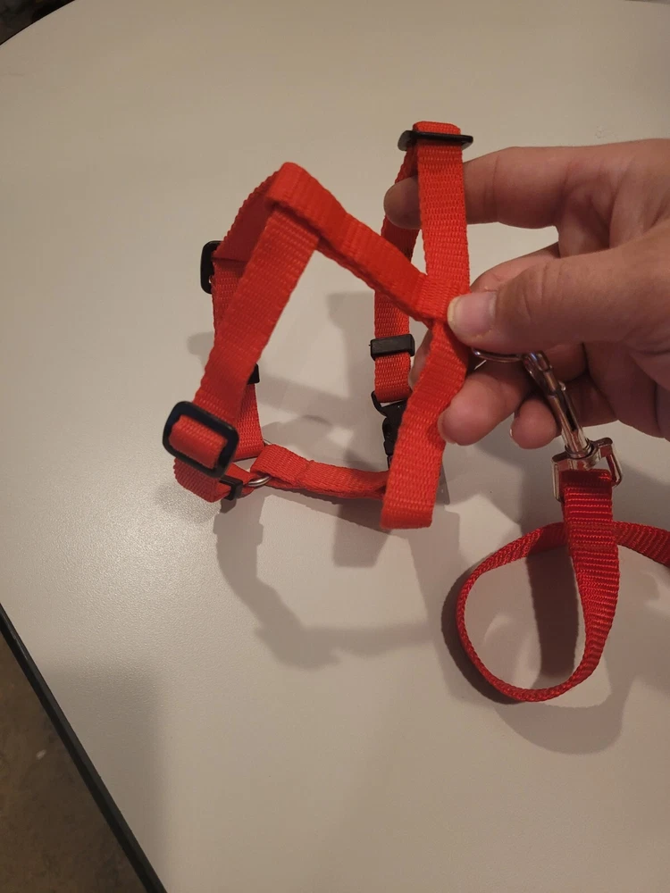 Dog Harness with leash / puppy Adjustable Step-In  / Sizes XS, S, to M / Red