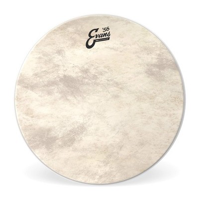 Evans Bass Drum Heads - BD22GB4CT - 22 inch EQ4 Calftone 22 Inch, berry
