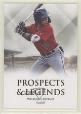 2020 Futera Unique Baseball Onyx Prospects & Legends Wilderd Patino #28 0a10