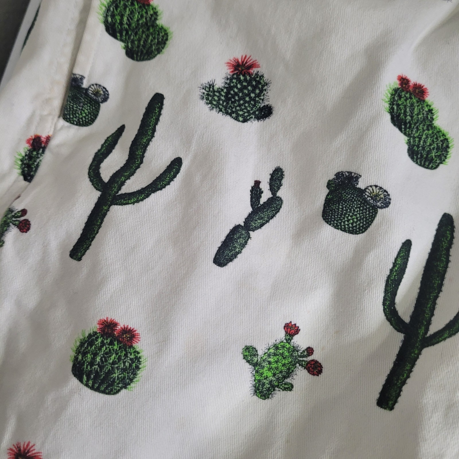 Zipcode Small Shorts Cactus graphic print Drawstr… - image 4