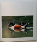 Picture 6 of 12