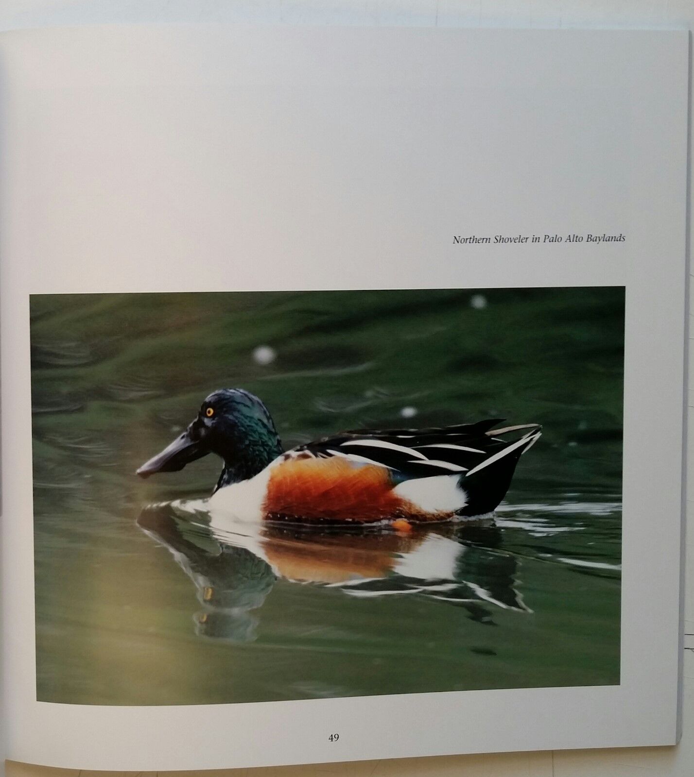 Picture 6 of 12