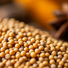 Yellow Mustard Seeds Spice Bulk Whole Seasoning Made in the US - Free Shipping