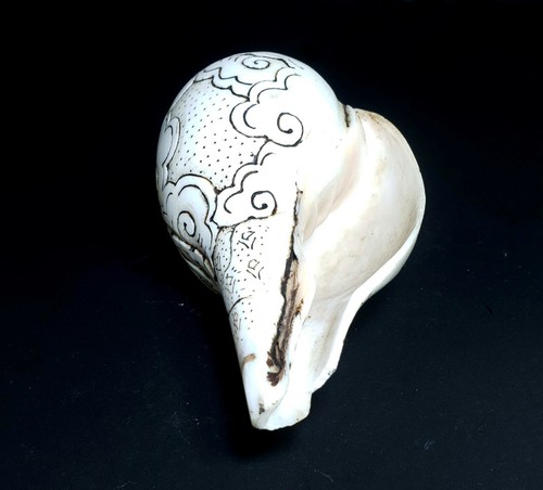 Handgeschnitzter tibetischer Shankh echte Muschelschale Trompete Horn Buddhismus Statue Buddha - Bild 5 von 5