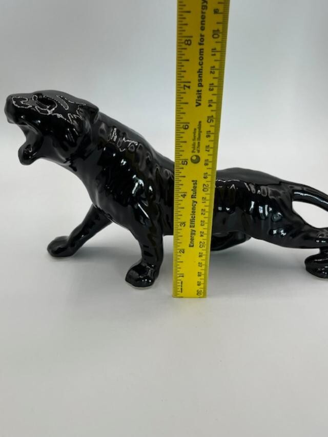 Picture 6 of 6