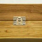 Bild 7 von 12