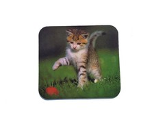 Kitten Cat Playing Mouse Pad