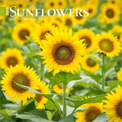 BrownTrout,  Sunflowers Special Value 2026 Mini Wall Calendar, 7'' X 7'', 16-Mon