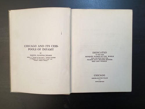 Chicago and Its Cess-Pools of Infamy- Samuel Paynter Wilson HC Boook - Picture 8 of 23