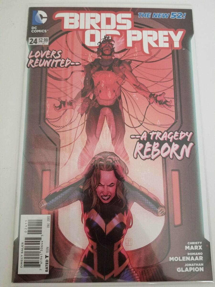 Flowers & Fishnets: BIRDS OF PREY #2 (New 52)