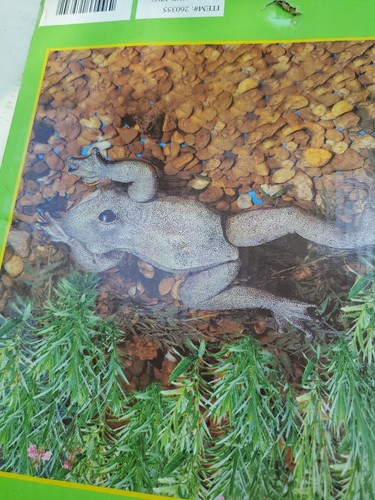 Floating Frog Garden Pond Decoration Vintage Jointed Wood 12" - Picture 3 of 14