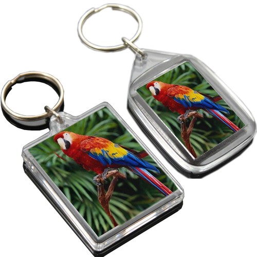 50x35MM 35x24MM INSERT CLEAR BLANK ACRYLIC PLASTIC PHOTO KEYRINGS