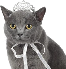 Pet Series Classic Petal Rhinestone Dog/Cat Tiara Crown for Costume Mini Dog Hai