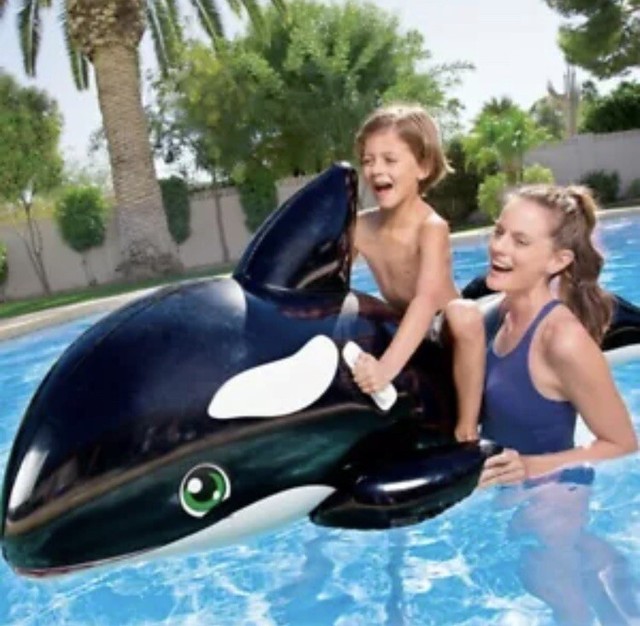 whale pool float