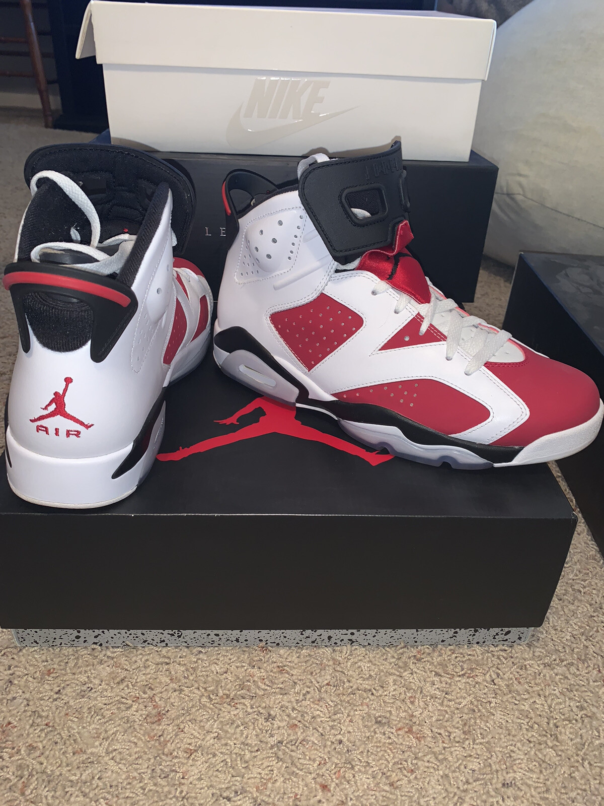 carmine 6's jordans