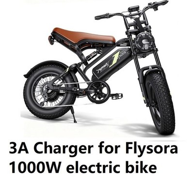  3a fast charger for Deepower  QS7 Flysora adults 48v fat tire bike
