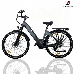 Fahrrad Elektro Gebraucht | eBay.de