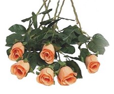 24in Rose Bud Apricot Artificial Flower Long Stem Peach, Set of 24