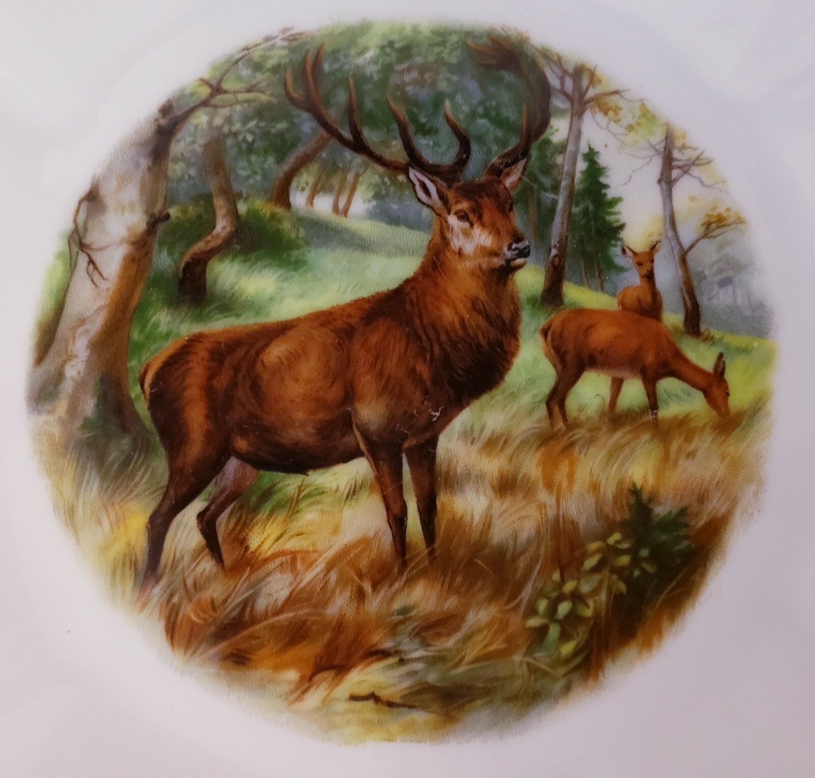 Vintage Decorative DEER STAG 81/2" PLATES 14K Trim, Punch Z S & C