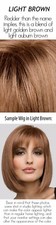 DANIELLE Wig by ENVY, *ALL COLORS!* EnvyHair Blend, Lace Front & Mono Top, NEW!