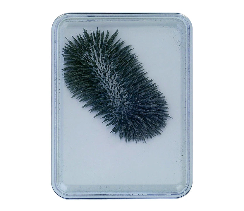 EDUPLAY EISENPULVER-BOX 1x Magnetismus Eisen-Pulver Magnet Experiment magnetische Ladung