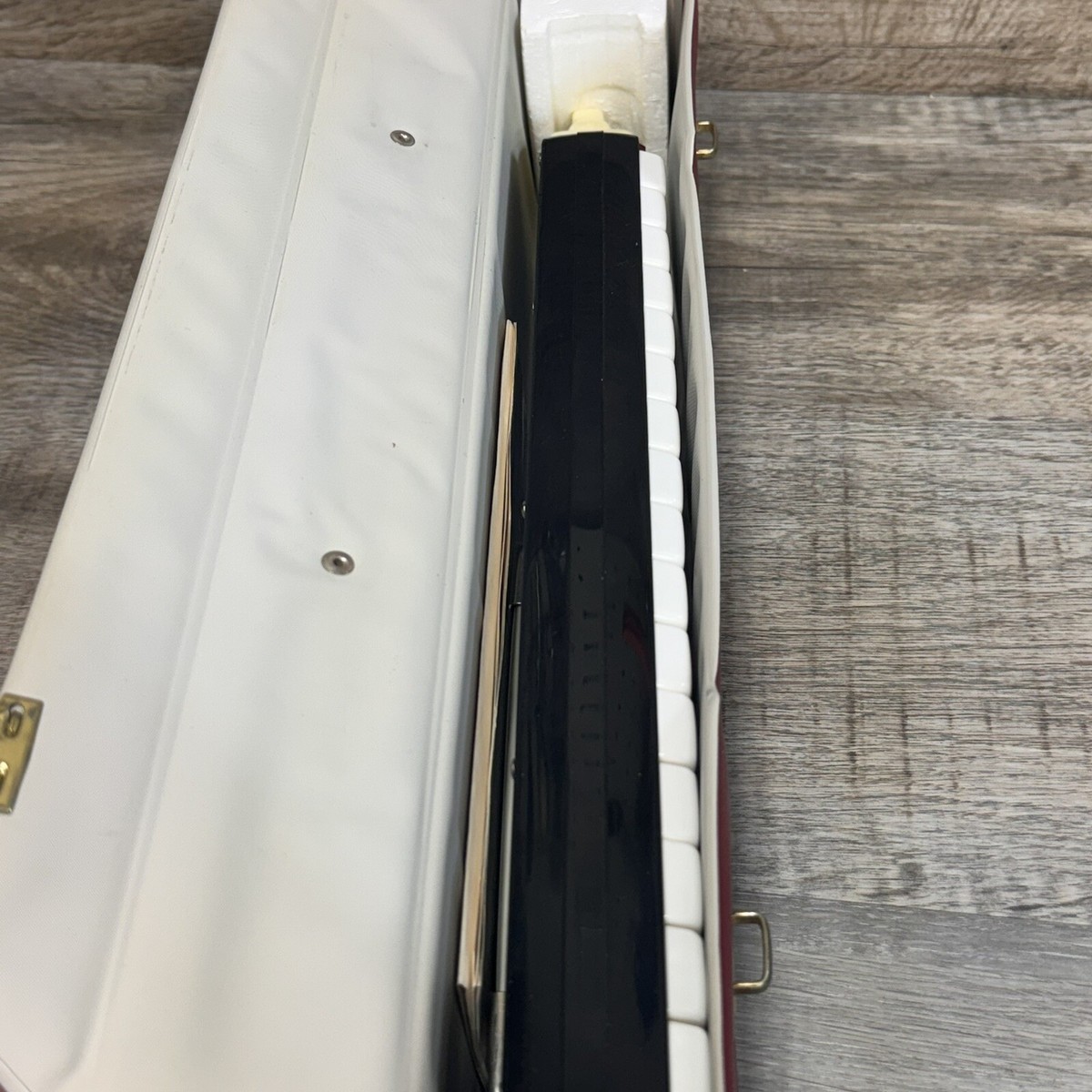 Vintage Hohner Melodica Piano 27 Made in Germany with Case