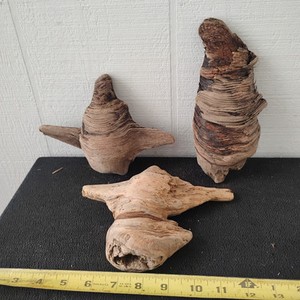 3 Small Pine Knots For Wood Carving