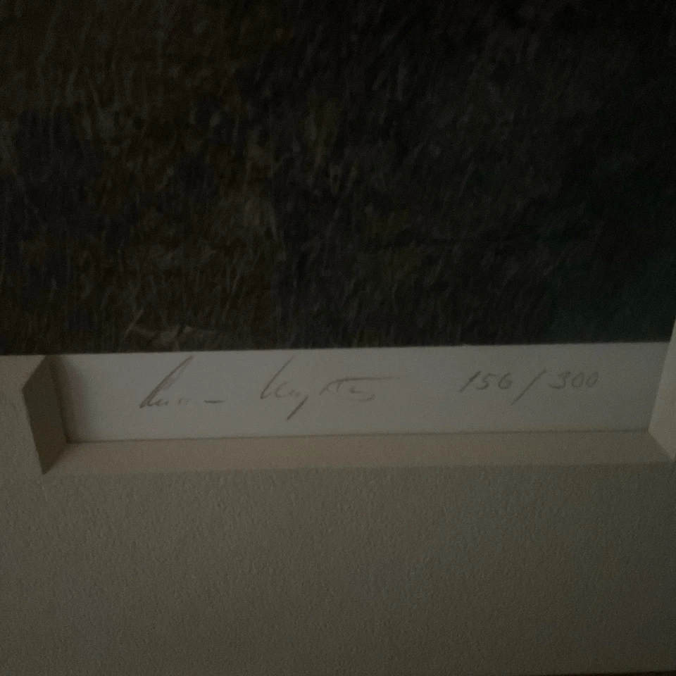 1981 Andrew Wyeth Grande 42” X 38” Impressão Numerada Assinada Jacklight 156/300 - Imagem 2 de 4