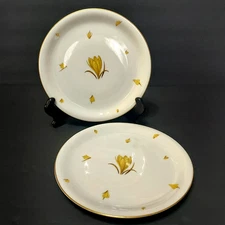 Lot of 2 Easterling Golden Crocus Salad Plate Bavaria Germany 8"