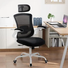 High Back Office Chair with Adjustable Lumbar & Headrest, Ergonomic Mesh Desk...