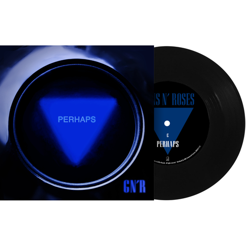 Guns N' Roses Perhaps b/w The General - Black Vinyl 7" Single in Picture Sleeve