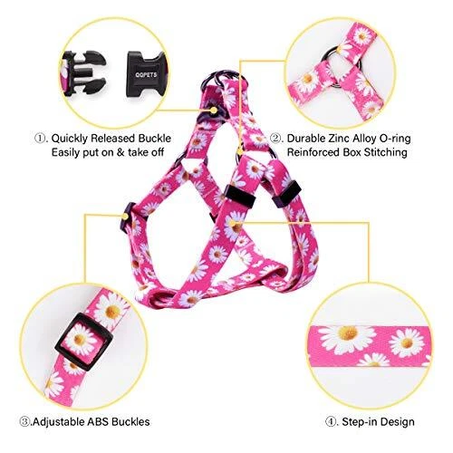 Dog Harness Leash Set Adjustable Heavy Duty No S(14"-20" Chest Girth) Daisy Dog Harness Leash Set Adjustable Heavy Duty No S(14"-20" Chest Girth) Daisy
