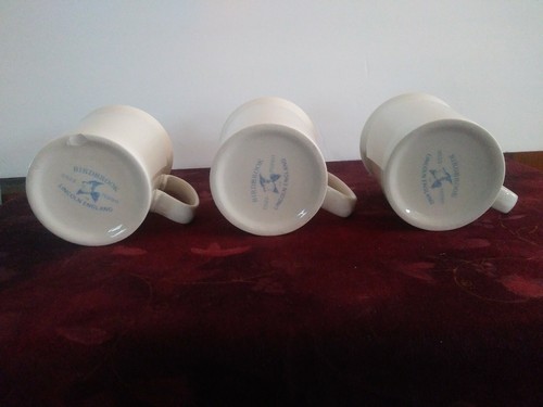 RARE Set Of 6 Aviation Pilot Mugs By Birdbrook Lincoln England 510th Tactical - Picture 4 of 8