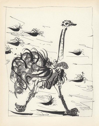 Pablo Picasso - L'Autruche - lithographie, 1955 - Foto 2 di 4