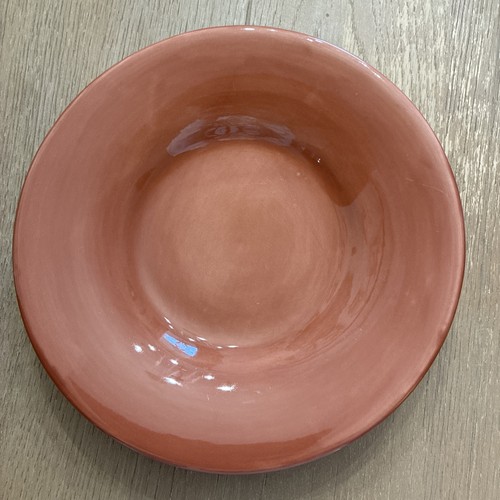Pottery Barn Sausalito Spice Terracotta 10” Shallow Pasta? Bowl