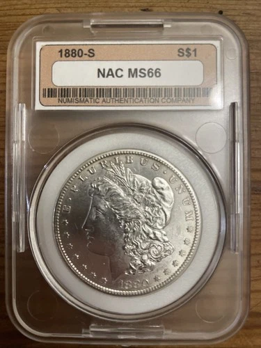 1880 S Morgan Silver Dollar. NAC Graded MS 66