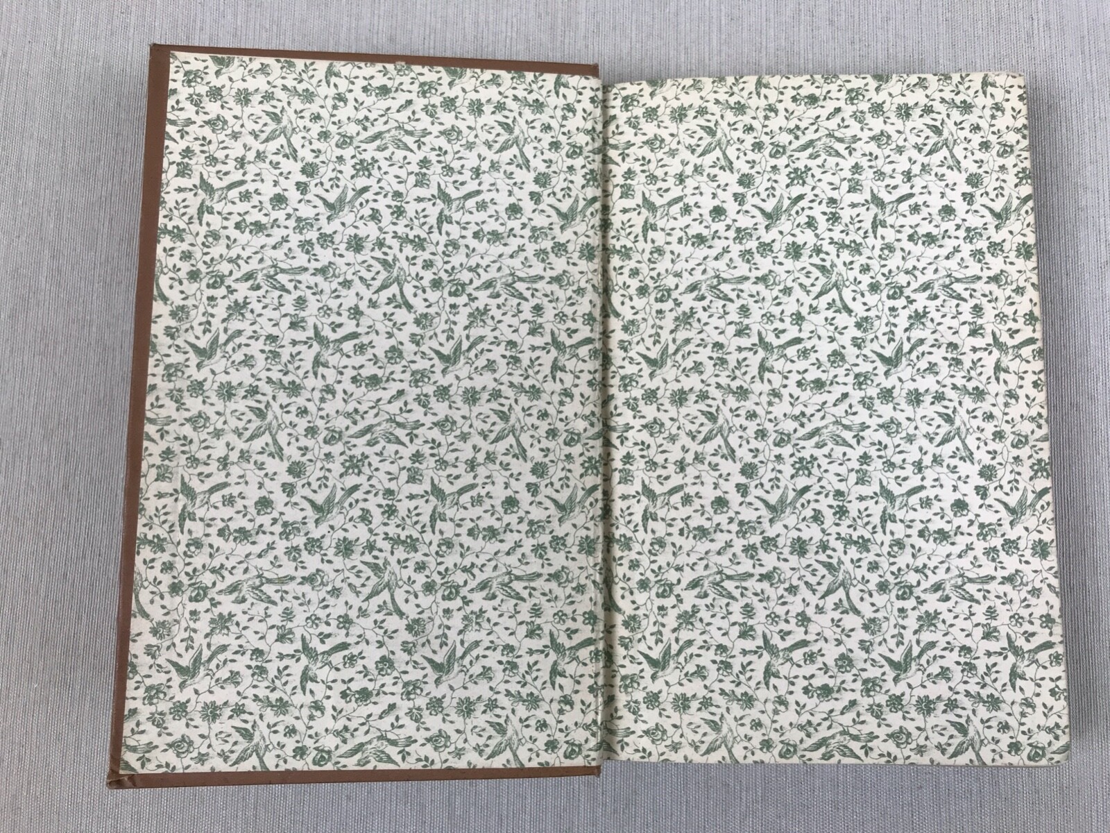 Picture 5 of 19