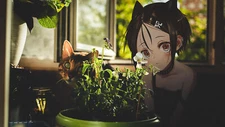 Anime irl collage plant pot by the window cats looking Play Gaming Mat Desk
