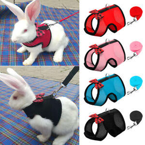 Rabbit Harness with Leash Set Hamster 